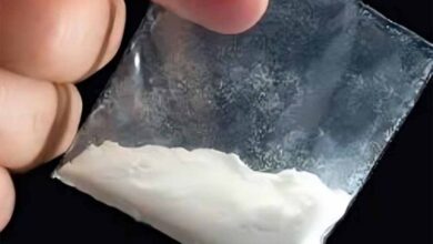 बिहार के हर जिले में खुलेगा नारकोटिक्स थाना, ड्रग्स पर पूरी तरह से लगेगी लगाम