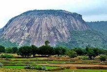 उत्तर-पूर्वी छत्तीसगढ़ का अनोखा पर्यटन: जशपुर के चाय बागान और सोगड़ा आश्रम की खूबसूरती