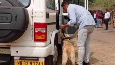 बम की अफवाह से मेदिनीपुर कोर्ट में हड़कंप, बम स्क्वाड ने 3 घंटे तक चलाया सर्च ऑपरेशन