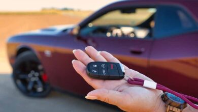 MP में वाहन ट्रांसफर अब और आसान, HSRP डेटा नेशनल पोर्टल से लिंक; फर्जीवाड़े पर लगेगी लगाम