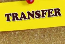 अवैध अफीम खेती पर एक्शन का असर: बलरामपुर में 58 पटवारियों का एक साथ तबादला, प्रशासन में हड़कंप