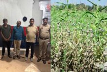 अफीम की खेती वाले नेता के मामले में खुलाशा, शमशान जाने की भी ‘दाऊजी’ से परमिशन