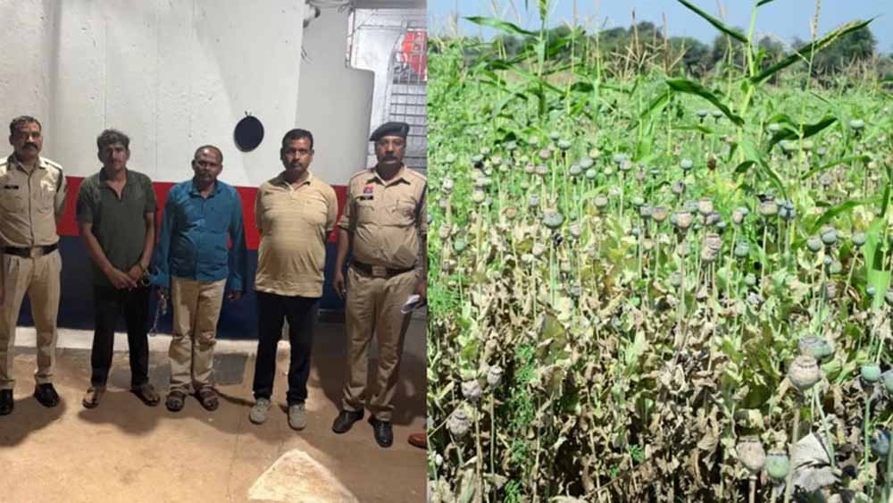 अफीम की खेती वाले नेता के मामले में खुलाशा, शमशान जाने की भी ‘दाऊजी’ से परमिशन अफीम की खेती वाले नेता के मामले में खुलाशा, शमशान जाने की भी ‘दाऊजी’ से परमिशन