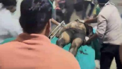 रायपुर हादसा: सेप्टिक टैंक की सफाई के दौरान 3 सफाईकर्मियों की मौत, परिजनों का जोरदार हंगामा रायपुर हादसा: सेप्टिक टैंक की सफाई के दौरान 3 सफाईकर्मियों की मौत, परिजनों का जोरदार हंगामा