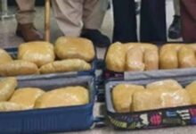 वंदे भारत एक्सप्रेस में ड्रग्स तस्करी का पर्दाफाश: 24 किलो गांजे संग दो युवतियां गिरफ्तार