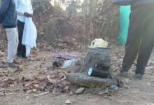 कोरबा में हाथी ने मंडी प्रभारी पर हमला कर उतारा मौत के घाट, पत्नी ने भागकर बचाई जान