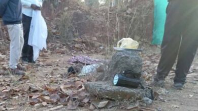 कोरबा में हाथी ने मंडी प्रभारी पर हमला कर उतारा मौत के घाट, पत्नी ने भागकर बचाई जान