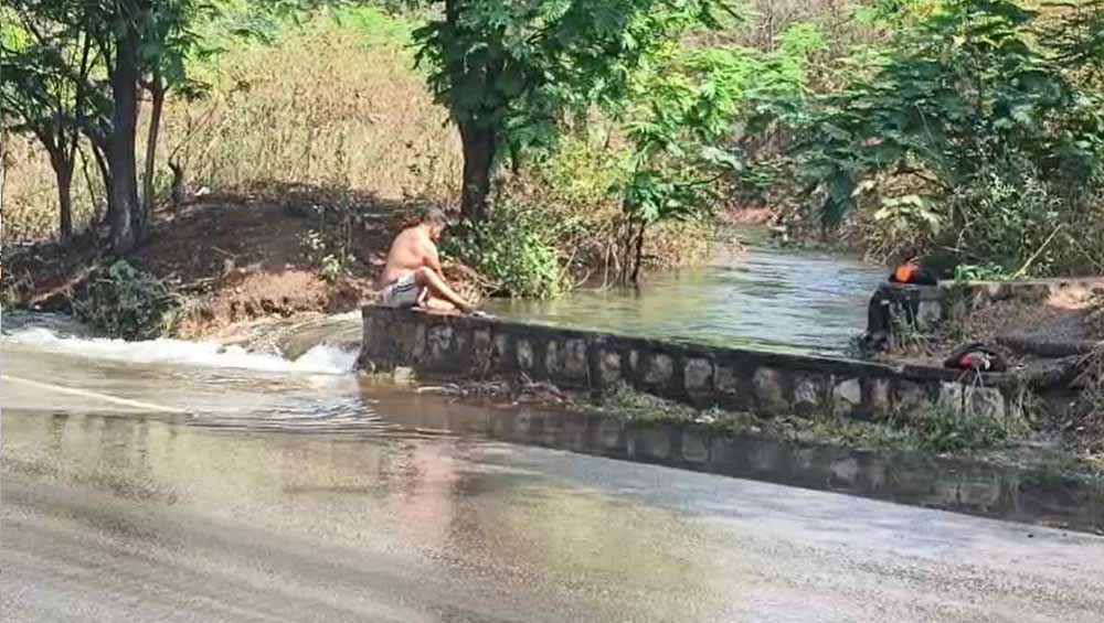 बिलासपुर डैम का गेट टूटा: मूसलाधार बारिश से हाईवे पर बाढ़, खेत हुए जलमग्न