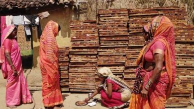 सेंट्रिंग प्लेट व्यवसाय से बढ़ी आय, ‘बिहान’ योजना से धमतरी की ग्रामीण महिलाएं हुईं सशक्त