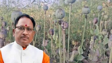 अफीम खेती पर CM साय का सख्त ऐक्शन प्लान, बोले- नक्सलियों और रसूखदारों को नहीं मिलेगी राहत