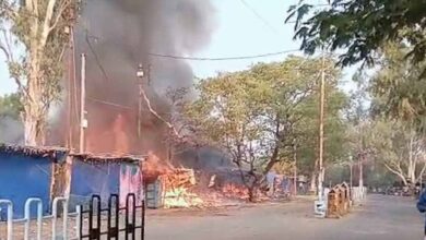 बलौदा बाजार में बंदरों की उछल-कूद से हादसा: ट्रांसफार्मर में शॉर्ट सर्किट, दुकानें जलकर खाक