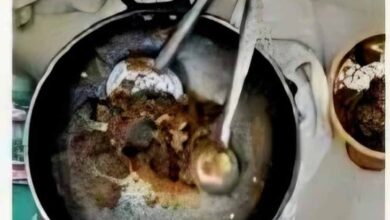 बिलासपुर जंगल रिसॉर्ट में छापा: हिरण का मांस पकाते मैनेजर समेत 4 गिरफ्तार