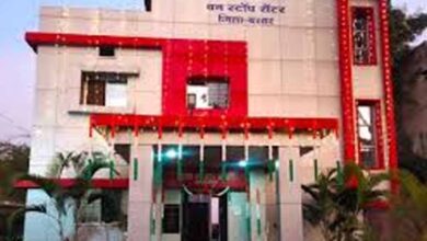 ‘सखी वन स्टॉप सेंटर’ बना संकटग्रस्त महिलाओं का सहारा, बस्तर में 1849 पीड़िताओं को दिलाई राहत