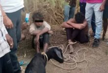 ओडिशा में ‘कंगारू कोर्ट’ का कहर: बकरी चोरी के शक में 9वीं के छात्र की पीट-पीटकर हत्या