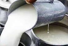 आंध्र प्रदेश में मिलावटी दूध का कहर जारी: अब तक 16 मौतें, 3 की हालत गंभीर