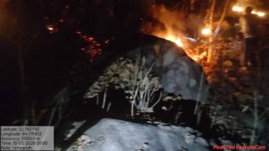 वन विभाग की तत्परता से टली बड़ी वन क्षति वन विभाग की तत्परता से टली बड़ी वन क्षति