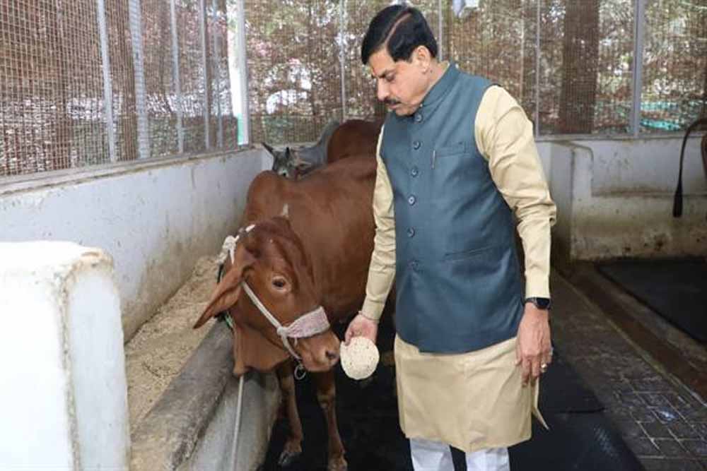 मुख्यमंत्री डॉ. यादव ने गौ सेवा कर की अपने जन्मदिन की शुरूआत मुख्यमंत्री डॉ. यादव ने गौ सेवा कर की अपने जन्मदिन की शुरूआत