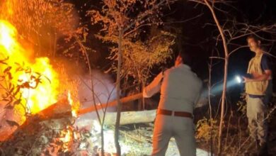 होली के दिन भी वनों की सुरक्षा में जुटे रहे वनकर्मी