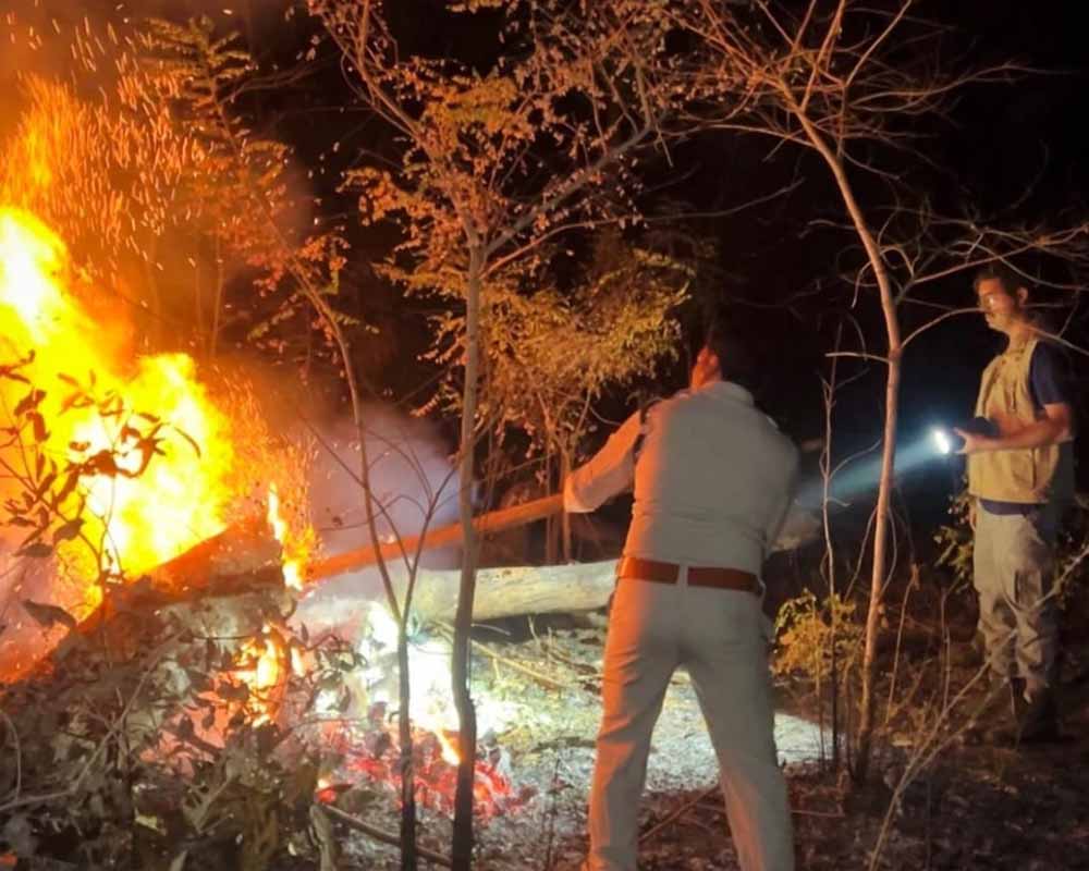 होली के दिन भी वनों की सुरक्षा में जुटे रहे वनकर्मी