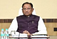 अफीम की अवैध खेती पर मुख्यमंत्री विष्णु देव साय ने अपनाया कड़ा रुख