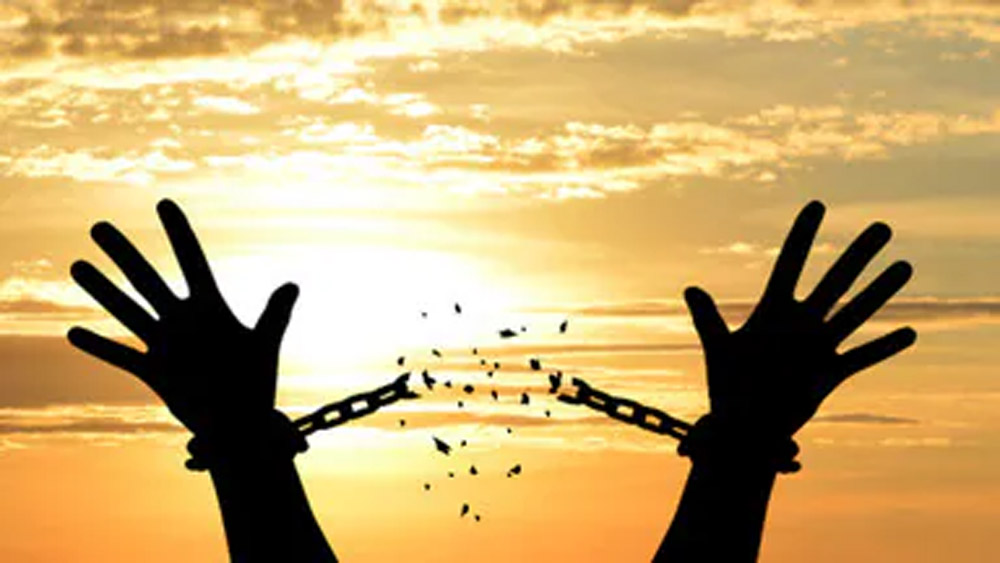 सफलता के लिए जीवन में अनुशासन और आजादी का सही तालमेल जरूरी सफलता के लिए जीवन में अनुशासन और आजादी का सही तालमेल जरूरी