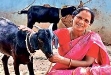 मंईयां सम्मान योजना से 67,752 महिलाएं बनीं आत्मनिर्भर, झारखंड में हर महीने मिल रहे ₹2500