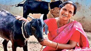 मंईयां सम्मान योजना से 67,752 महिलाएं बनीं आत्मनिर्भर, झारखंड में हर महीने मिल रहे ₹2500