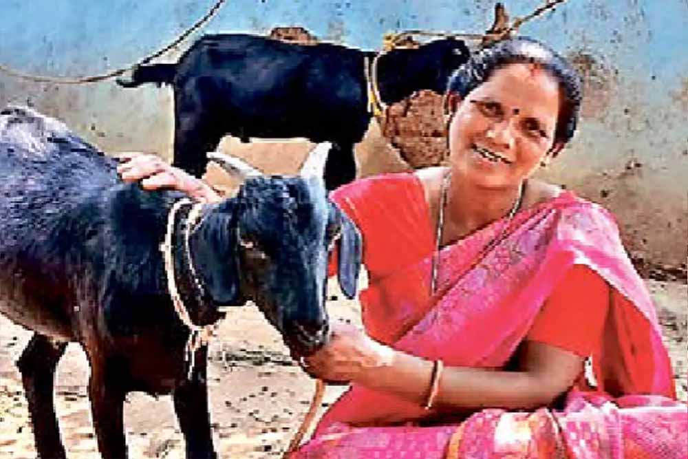 मंईयां सम्मान योजना से 67,752 महिलाएं बनीं आत्मनिर्भर, झारखंड में हर महीने मिल रहे ₹2500