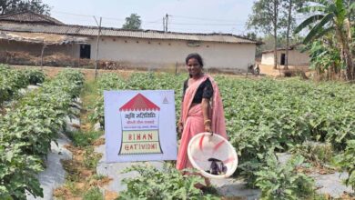 उन्नत खेती से शीला राजवाड़े बनीं लखपति दीदी बिहान’ से जुड़कर संवर रही ग्रामीण महिलाओं की आजिविका उन्नत खेती से शीला राजवाड़े बनीं लखपति दीदी बिहान’ से जुड़कर संवर रही ग्रामीण महिलाओं की आजिविका