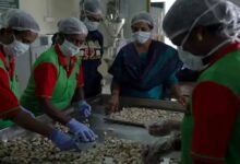 उत्तर प्रदेश में 9 हजार से अधिक महिला संचालित स्टार्टअप बना रहे नई पहचान