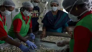 उत्तर प्रदेश में 9 हजार से अधिक महिला संचालित स्टार्टअप बना रहे नई पहचान