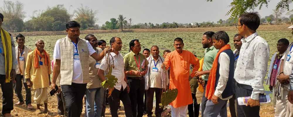 मध्यप्रदेश के किसानों का ग्राम लिंगाडीह आरंग में मखाना खेती भ्रमण एवं प्रशिक्षण संपन्न