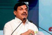 मुख्यमंत्री डॉ. यादव वीरांगना दुर्गावती टाइगर रिजर्व में आज रिलीज करेंगे कछुए