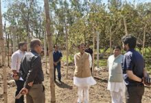 उप मुख्यमंत्री  शुक्ल ने प्राकृतिक खेती का किया निरीक्षण