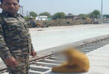 निवाड़ी के डायल 112 हीरोज: सतर्कता और समझाइशदेकर आत्‍महत्‍या के उद्देश्‍य से रेलवे पटरी पर बैठी महिला को सुरक्षित बचाया