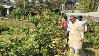 शासकीय नर्सरियों को बनाया जायेगा आदर्श नर्सरी : मंत्री  कुशवाह