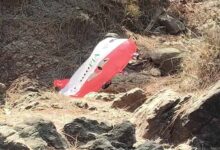 राजौरी में PIA लिखा विमाननुमा गुब्बारा मिलने से हड़कंप, पुलिस ने जारी किया अलर्ट