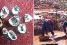 अंतरराष्ट्रीय युद्ध का असर: पन्ना का हीरा कारोबार 60% तक मंदा, 24 मार्च की नीलामी स्थगित