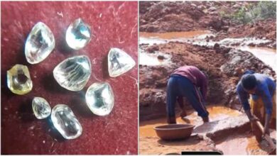 अंतरराष्ट्रीय युद्ध का असर: पन्ना का हीरा कारोबार 60% तक मंदा, 24 मार्च की नीलामी स्थगित अंतरराष्ट्रीय युद्ध का असर: पन्ना का हीरा कारोबार 60% तक मंदा, 24 मार्च की नीलामी स्थगित