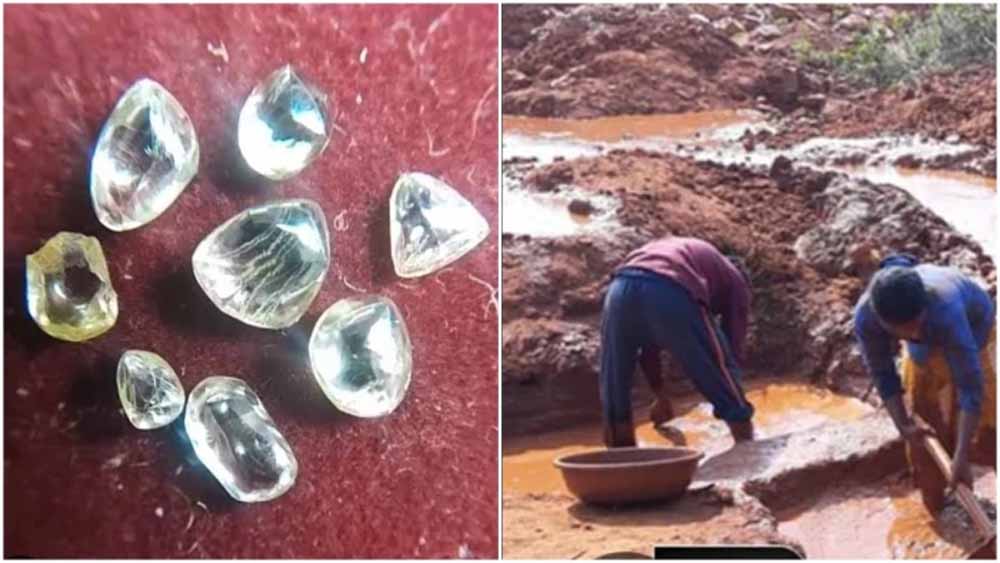 अंतरराष्ट्रीय युद्ध का असर: पन्ना का हीरा कारोबार 60% तक मंदा, 24 मार्च की नीलामी स्थगित अंतरराष्ट्रीय युद्ध का असर: पन्ना का हीरा कारोबार 60% तक मंदा, 24 मार्च की नीलामी स्थगित