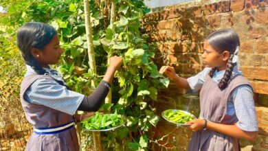 विद्यालय की बगिया से बच्चों की थाली तक पहुँच रहा ताजा और पौष्टिक आहार