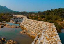 माओवादी हिंसा के बाद बदलती तस्वीर: बोधघाट में जंगल का अर्थशास्त्र ले सकता है नई दिशा