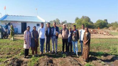 मिट्टी से जुड़ा हौसला बना पहचान पूजा माहौरे ने प्राकृतिक खेती से रची सफलता की मिसाल मिट्टी से जुड़ा हौसला बना पहचान पूजा माहौरे ने प्राकृतिक खेती से रची सफलता की मिसाल