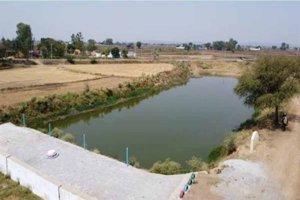 अमृत सरोवर से रिझोरा में लौटी हरियाली और खुशहाली अमृत सरोवर से रिझोरा में लौटी हरियाली और खुशहाली