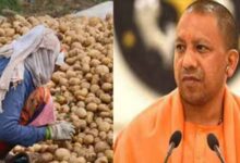 किसानों से ₹1500 प्रति क्विंटल होगी आलू खरीदी!, सीएम योगी से MSP दरें तय करने पर की चर्चा
