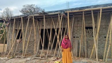 बिहान योजना से फुलकुंवर बनीं आत्मनिर्भर उद्यमी