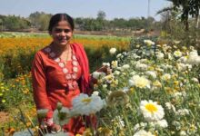 बिहान योजना से खिला रत्ना का भविष्य, फूलों की खेती से बनीं सफल उद्यमी