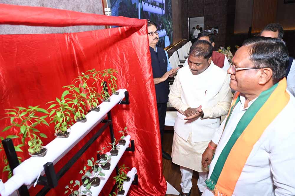 वन आधारित अर्थव्यवस्था को मजबूत करने पर दें जोर: वन मंत्री  कश्यप