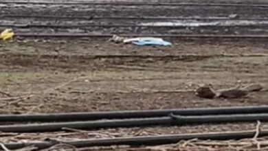 भालीवाड़ा जलाशय में मोटरों का अंधाधुंध इस्तेमाल, तेजी से गिर रहा पानी का स्तर भालीवाड़ा जलाशय में मोटरों का अंधाधुंध इस्तेमाल, तेजी से गिर रहा पानी का स्तर