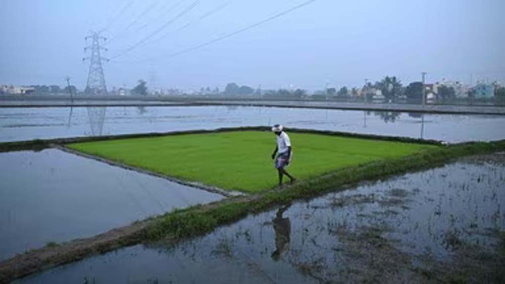 युद्ध का सीधा असर खेती पर: कीटनाशक 30% महंगे, किसानों की लागत बढ़ने की आशंका